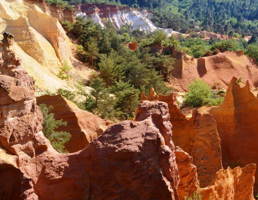 Отель Domaine Les Chenes Blancs Сен-Сатюрнен-д'Апт Экстерьер фото